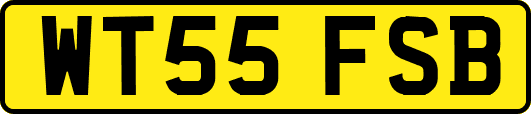 WT55FSB
