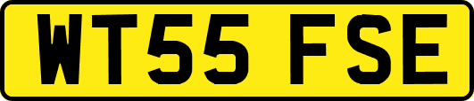WT55FSE