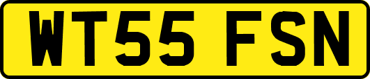 WT55FSN
