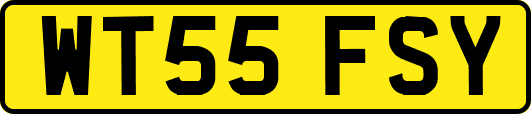 WT55FSY