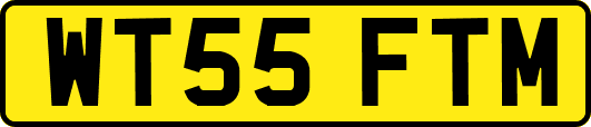 WT55FTM