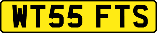 WT55FTS