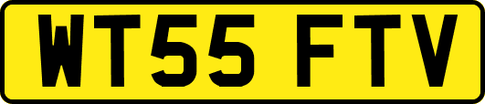 WT55FTV