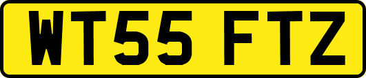 WT55FTZ