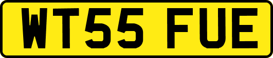 WT55FUE