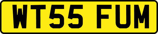 WT55FUM