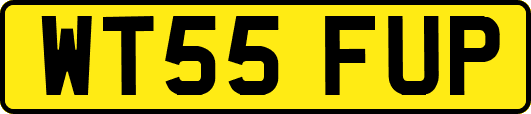 WT55FUP