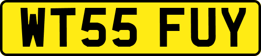 WT55FUY