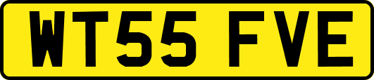WT55FVE