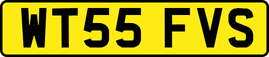 WT55FVS