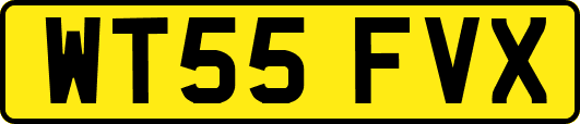 WT55FVX