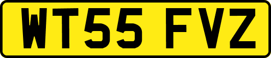 WT55FVZ