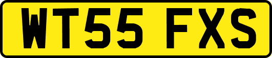 WT55FXS