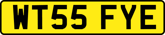 WT55FYE