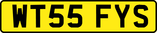 WT55FYS