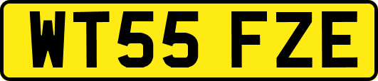 WT55FZE