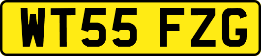 WT55FZG