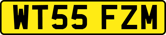 WT55FZM