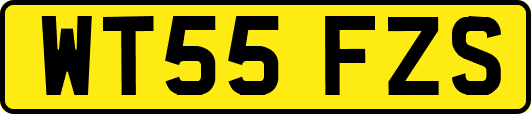WT55FZS