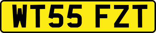 WT55FZT