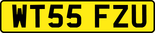 WT55FZU