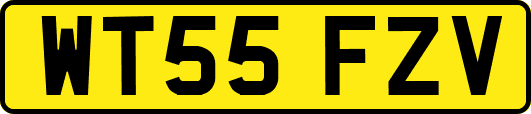 WT55FZV
