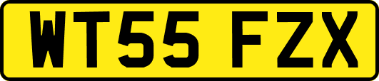 WT55FZX