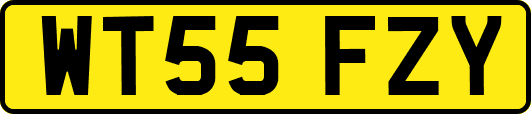 WT55FZY