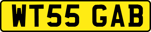 WT55GAB