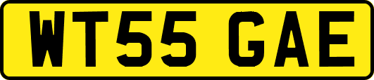WT55GAE