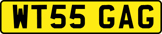 WT55GAG