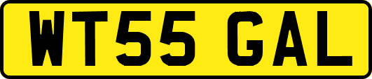 WT55GAL