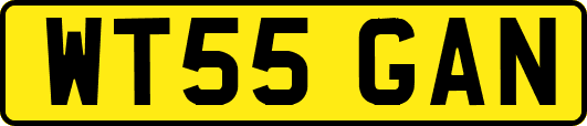 WT55GAN