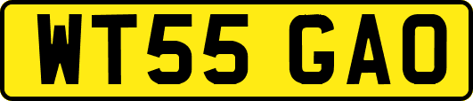 WT55GAO