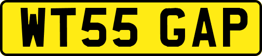 WT55GAP