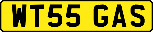 WT55GAS