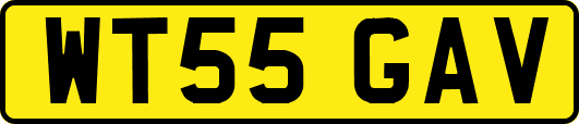 WT55GAV