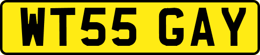 WT55GAY
