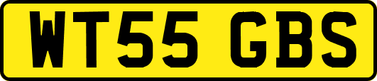 WT55GBS