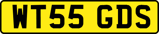 WT55GDS