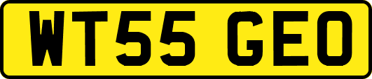 WT55GEO