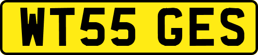 WT55GES
