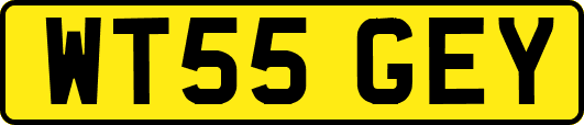 WT55GEY