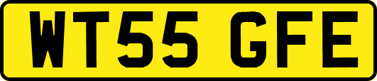 WT55GFE