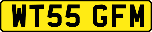 WT55GFM
