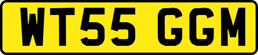 WT55GGM