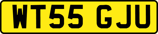 WT55GJU