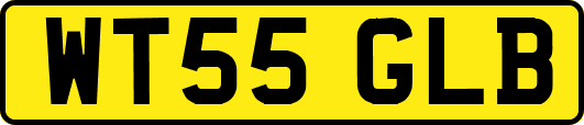 WT55GLB