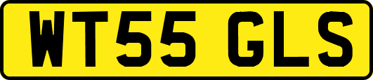 WT55GLS
