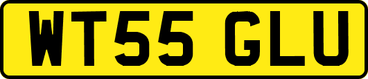 WT55GLU